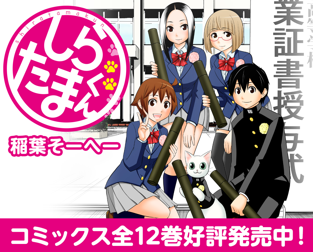 「しらたまくん」コミックス絶賛発売中！