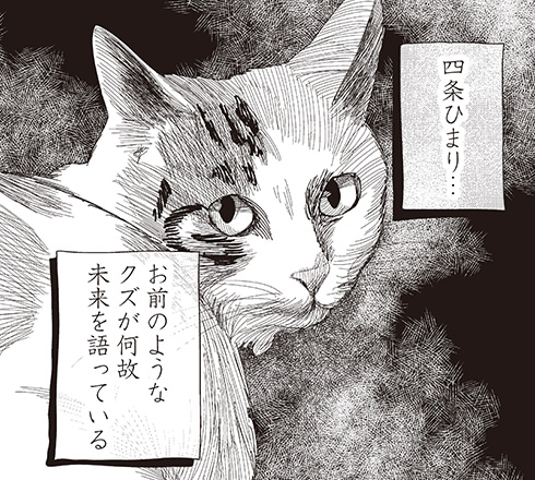猫の殺人